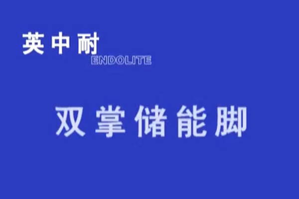 雙掌儲(chǔ)能腳
